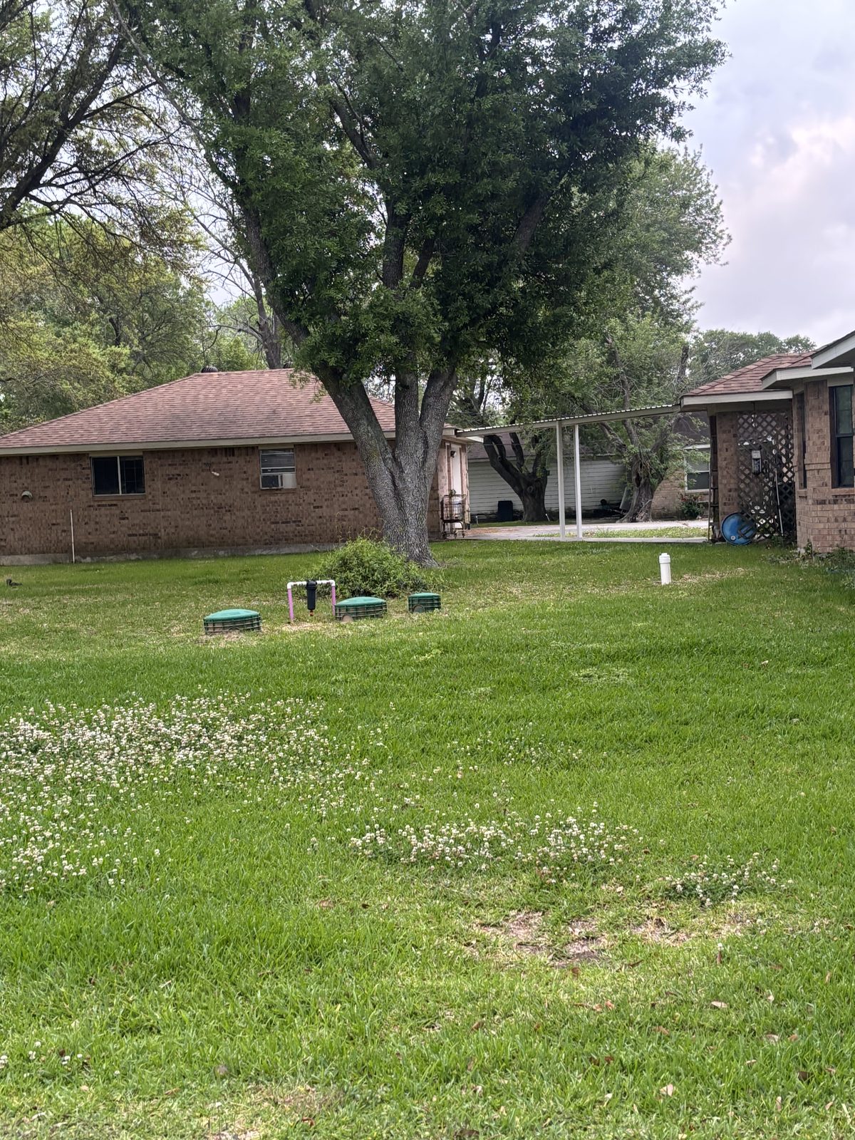 Aerobic septic system with green riser lids in a well-maintained residential yard — quarterly maintenance by Harris County Septic